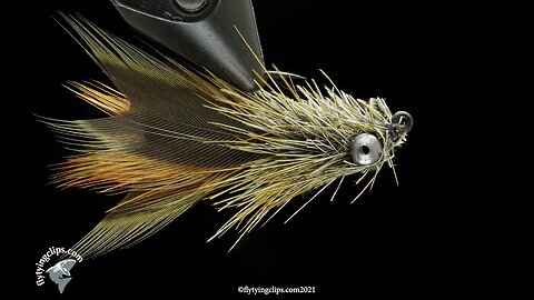 Pheasant Tail Crawdad Fly Tying Video - Tied by Herman deGala