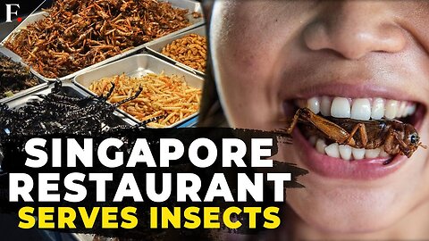 Singapore Restaurant Serves Crickets as Edible Insects get a nod| RN ✅