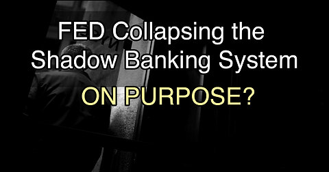 Shadow Banking System Collapsing? w/ Ellen Brown, Chairman of the Public Banking Institute