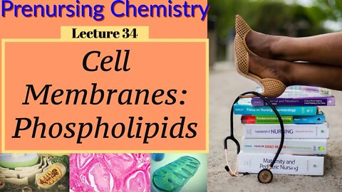 Cell Membranes & Phospholipids Chemistry Video Chemistry for Nurses Lecture Video (Lecture 34)