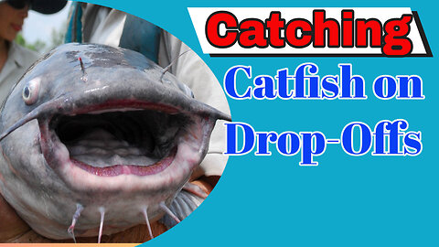 How We Fish Deep Drop-Offs: Catfishing Secrets Revealed