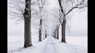Snowfall With Relaxing Ambient Music