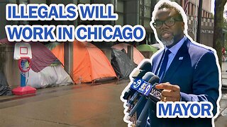 Chicago Decides to give Illegal Immigrants Work Permits