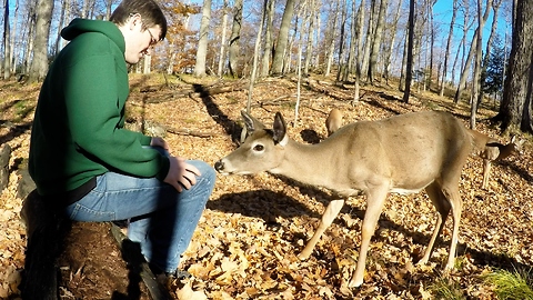 Young man shares unforgettable moment with wild deer