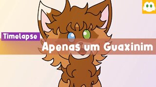 Apenas um Guaxinim [Timelapse]