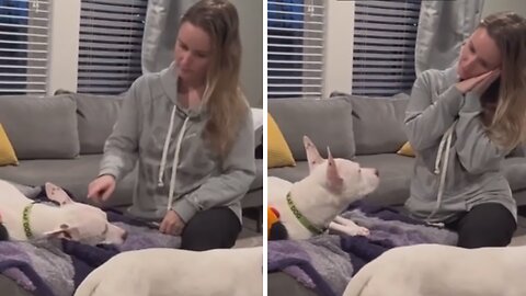 Woman has affectionate bedtime routine with her deaf dog