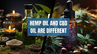 Difference between Hemp oil and CBD oils and the benefits each provides