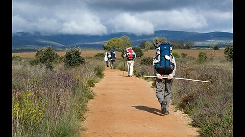 The Camino Walk