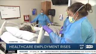 Healthcare employment rises