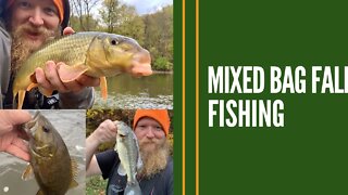 Mixed Bag Fall Fishing / Coho Salmon, Bass, Suckers, Catfish, Perch / Identifying Gravel Beds
