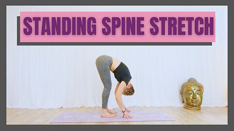 Standing Spine Stretch