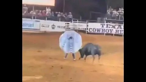 bull is this real #viral #bull #funny