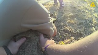 Police officers release deer from a hammock