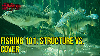 Fishing 101: Structure vs. Cover