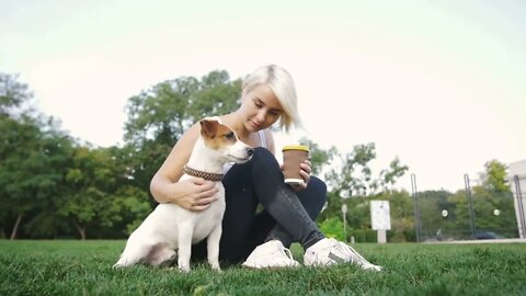 Young woman with little cute jack russel terrier in park