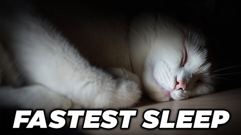 Guaranteed Cat Sleep for 12 Hours | Soothing Sleep Sounds to Have Your Cat Snoozing FAST