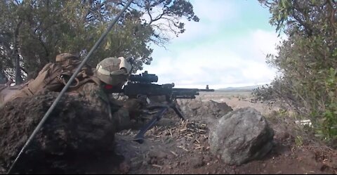 BLT 1/4 Marines fire machine guns during live-fire training at Pohakuloa training area