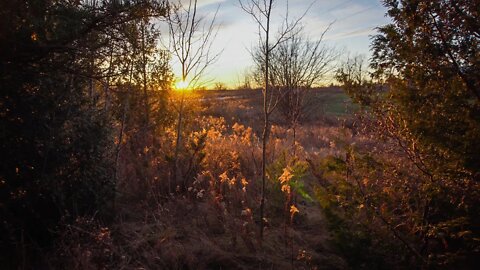 Learning to Relax while working Hard to fulfil my dream of homesteading | E43 S1