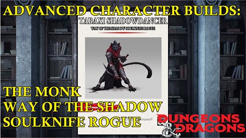 DND5E Advanced Character Guide: The Tabaxi Way of the Shadow Monk, Soulknife Rogue