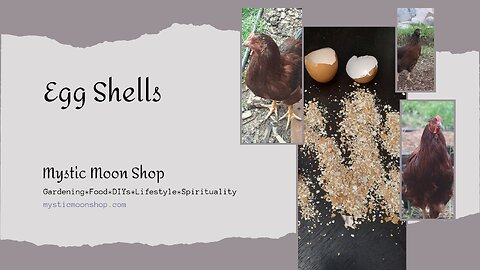 Using Egg Shells - Don't Throw Them Out!