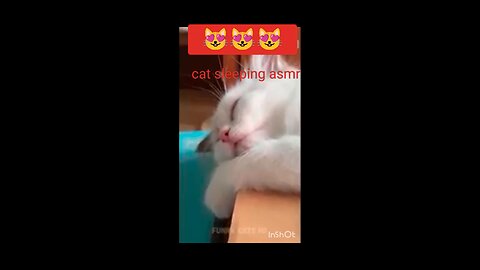 Cat satisfying video 😻😻😻 #cat #cats #Satisfied #Rumble #shorts