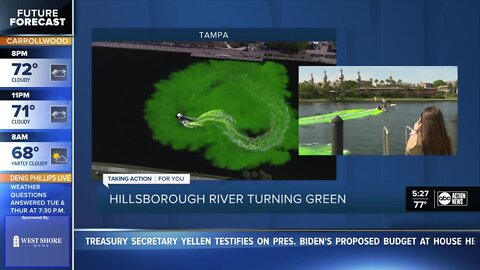 Hillsborough River turns green ahead of St. Patrick's Day