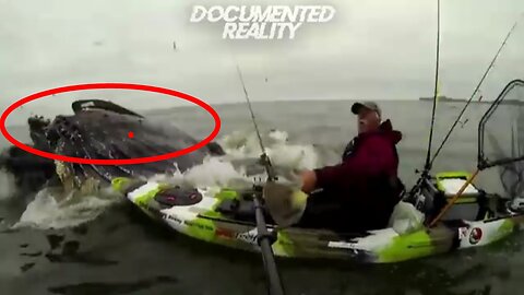Fishing man attacked by giant fish