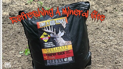 Refreshing a mineral site for deer