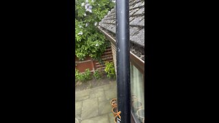 Gutter Cleaning