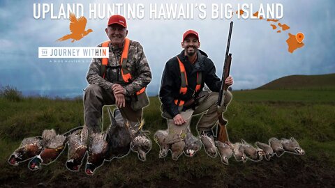 Upland Hunting Hawaii's Big Island: The Journey Within - A Bird Hunter's Diary | Mark Peterson