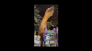 Dinosaur Cafe in Disney Spring Florida