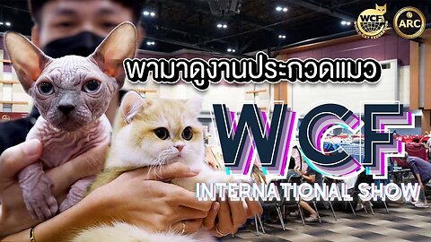WCF INTERNATIONAL CAT SHOW IN BANGKOK | FEB 2023