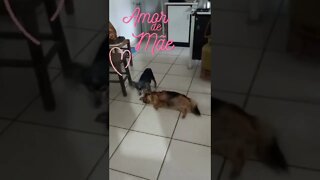 É INACREDITÁVEL o amor que essa mãe tem por sua filha !!! Lindo demais !!! #shorts