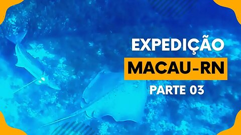 🎣 Expedição Macau RN - Pesca Sub em Apneia - Parte 03 🌊🐟 #pescasub #pescasubmarina #spearfishing