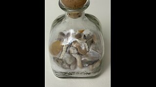 Sand & Shell Bottle Order 4K