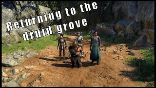 Returning to the druid grove | Baldur's gate 3