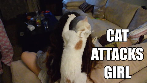 Cat Attacks Girl