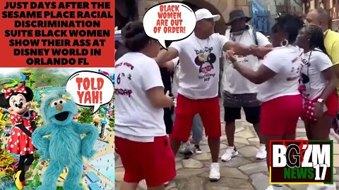 Days After The Sesame Place Racial Discrimination Suite Black Women Show Their A$$ at Disney World