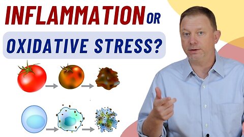 Inflammation or Oxidative Stress: Which one is it?