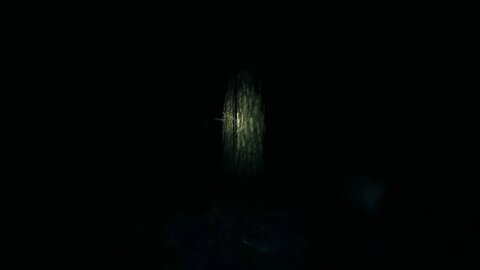 Blair Witch PC Game With Reshade to get Rid Of Blur