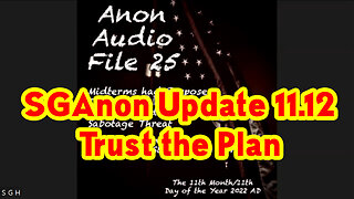 SGAnon Update 11.12 ~ Trust the Plan