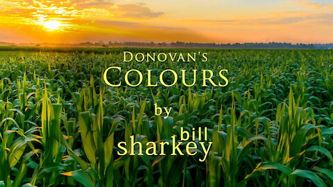 Colours - Donovan (cover-live by Bill Sharkey)