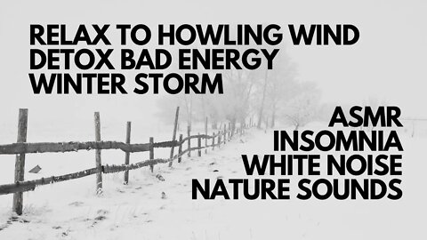 DETOX BAD ENERGY WITH NATURE SOUNDS OF HOWLING WINDS IN A WINTER STORM, WHITE NOISE, SLEEP, STUDY