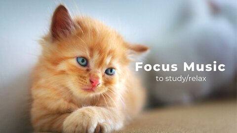 Relaxing Music, Work Music, Study Music, Focus Music || Lofi Music || Purrple Cat