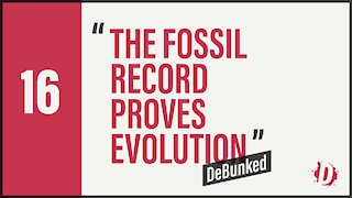 D16: The Fossil Record Proves Evolution - DeBunked