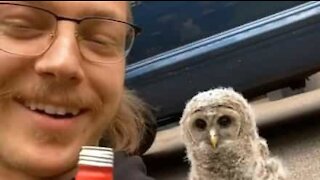 Man and baby owl become friends
