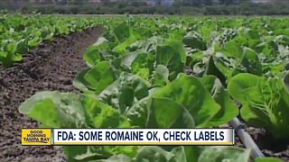 FDA says some romaine lettuce is okay, check labels first