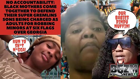 Black Mothers Come Together To Defend Super Gremlin Sons Who Robbed Minors at Six Flags Over Georgia