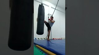 Kick, punch, Elbow and Knee The Bag (20)