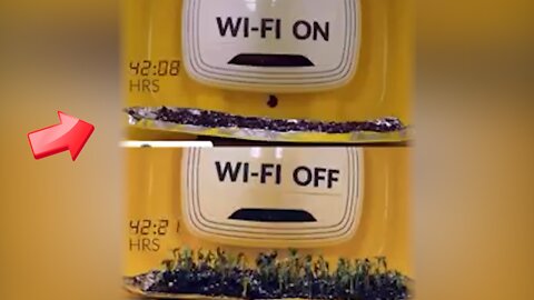 There is a difference in plant growth depending on whether Wifi is on or off [conspiracy]